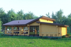 3ц